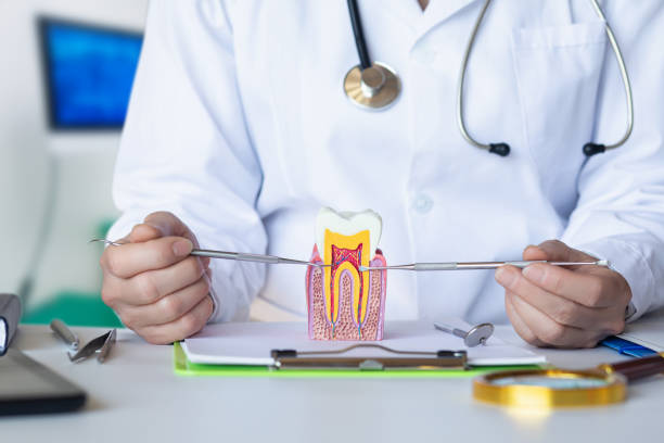 Best Broken Tooth Emergency  in Wayne, MI